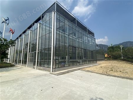 蔬菜玻璃温室生产