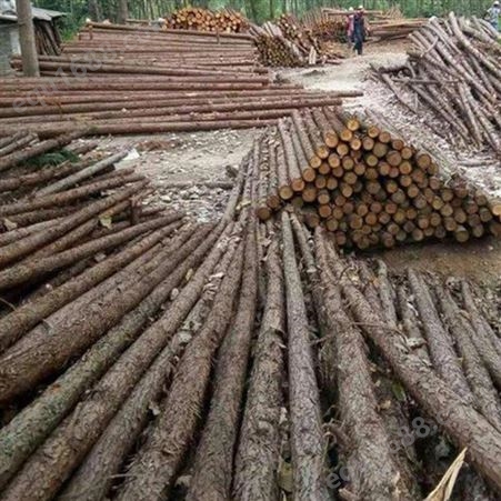 北京杉木桩施工 上海杉木桩图片 胜洁木业