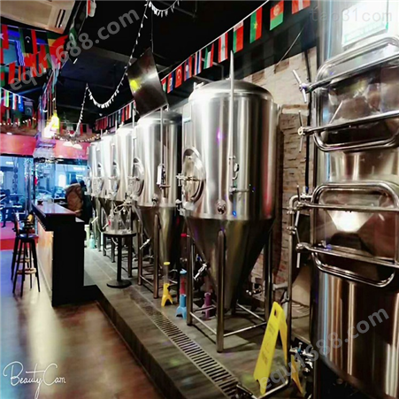 火锅店啤酒设备 史密力维创新助消化 山楂饮料啤酒酿造设备