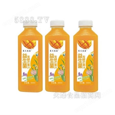 益生菌发酵芒果汁500ml瓶装果味果汁饮料芒果果汁