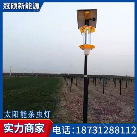 新农村6米高太阳能路灯LED光源乡村道路照明