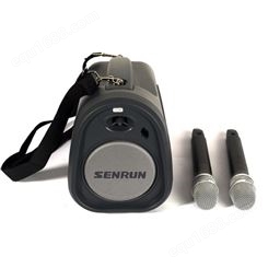 SENRUN EP-580R/U2蓝牙带录音无线扩音机教学导游演出喊话器音箱
