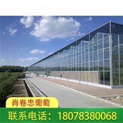 贺州连栋温室大棚适合种植蔬菜、培育花卉