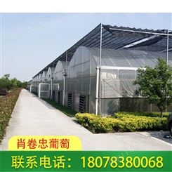 广西桂林温室畜牧养殖大棚安装设计厂家欢迎您