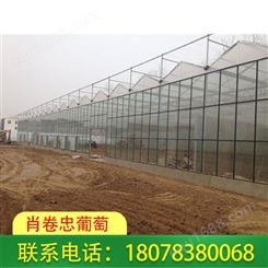 桂林温室大棚搭建-可种植蔬菜瓜果及花卉