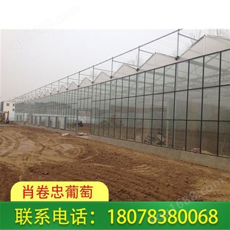 桂林温室大棚搭建-可种植蔬菜瓜果及花卉