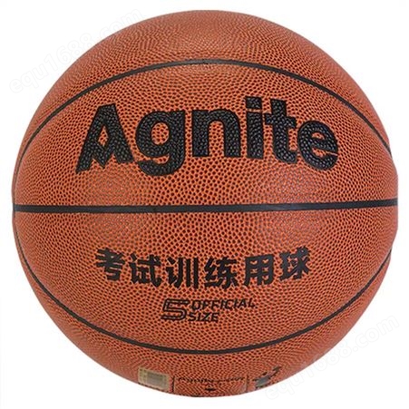 安格耐特F1161 PU篮球 5号考试/日常训练球（橙色）