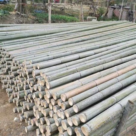 竹片绿化养殖 竹签用于建筑工地 扫把柄扎扫帚 毛竹养殖