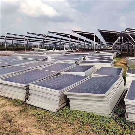 APM18M5W2727广州海珠区回收太阳能板  回收光伏板 回收多晶硅