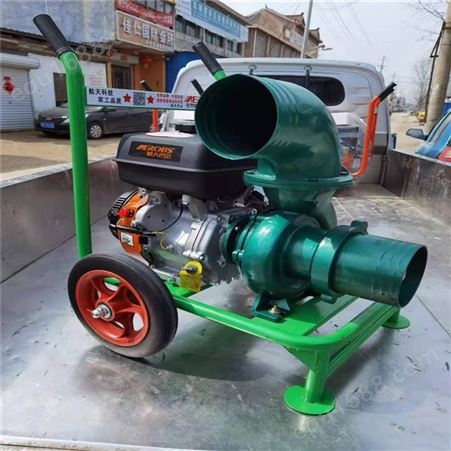 汽油自吸水泵 2寸3寸小型自吸泵 柴油拖车款6寸抽水泵
