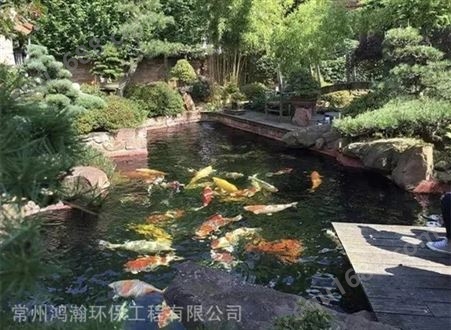 丹阳市企业单位鱼池过滤系统设计 假山鱼池 喷泉池清洗保养