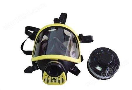 全面罩防毒面具 鬼脸防毒面具 过滤式带导管 SF6电力用防毒面罩