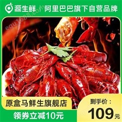 潜江麻辣小龙虾（4-6钱）750g/盒*3新鲜加热即食熟食顺丰