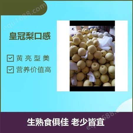 二级梨产地 黄亮型美 营养价值高 肉质细软